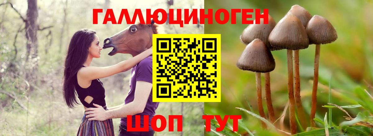 Галлюциногенные грибы MAGIC MUSHROOMS Кудрово